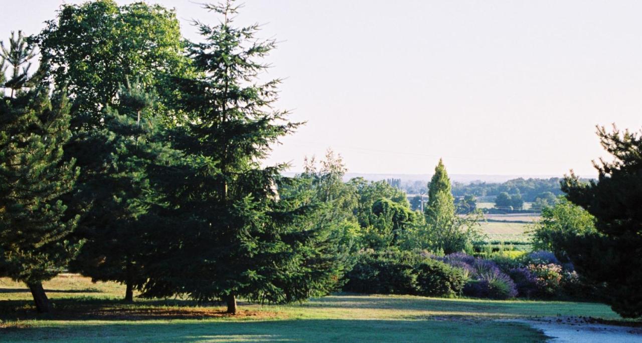 Le Logis Du Pressoir Chambre D'Hotes Bed & Breakfast In Beautiful 18Th Century Estate In The Heart Of The Loire Valley With Heated Pool And Extensive Grounds Bed and Breakfast Les Bois-d'Anjou Eksteriør billede